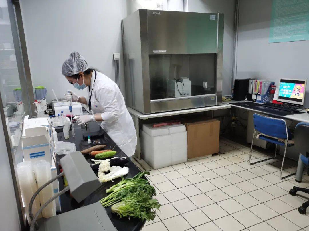嵩县食品检测实验室装修方案